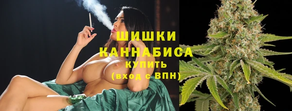 PSILOCYBIN Зеленодольск
