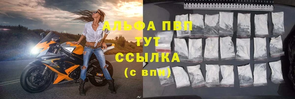 молекула духа Зерноград