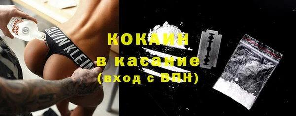 PSILOCYBIN Зеленодольск