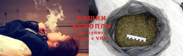 PSILOCYBIN Зеленодольск