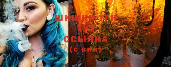 молекула духа Зерноград