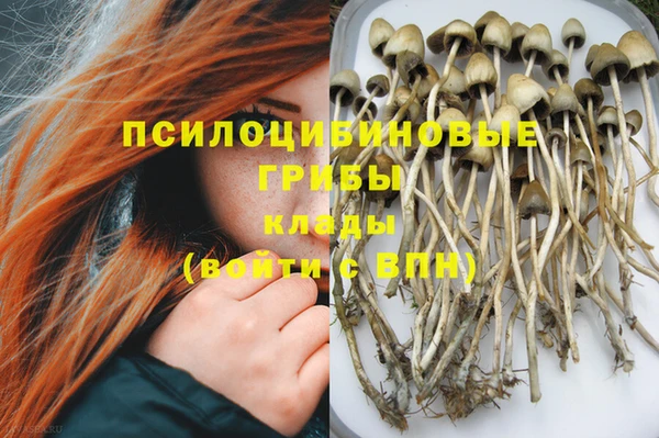 PSILOCYBIN Зеленодольск