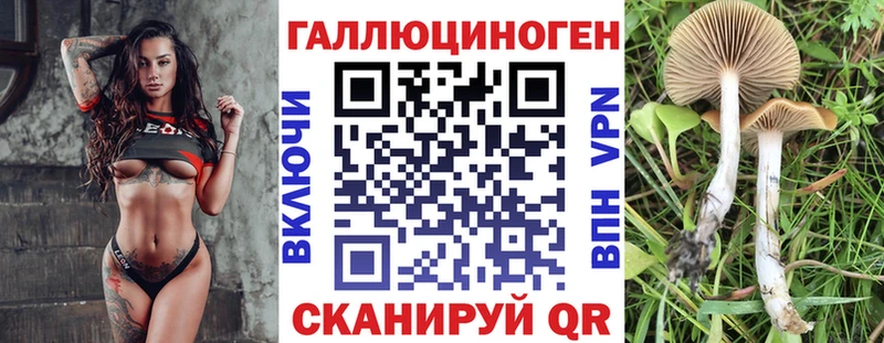 Купить  Гороховец  Галлюциногенные грибы MAGIC MUSHROOMS 